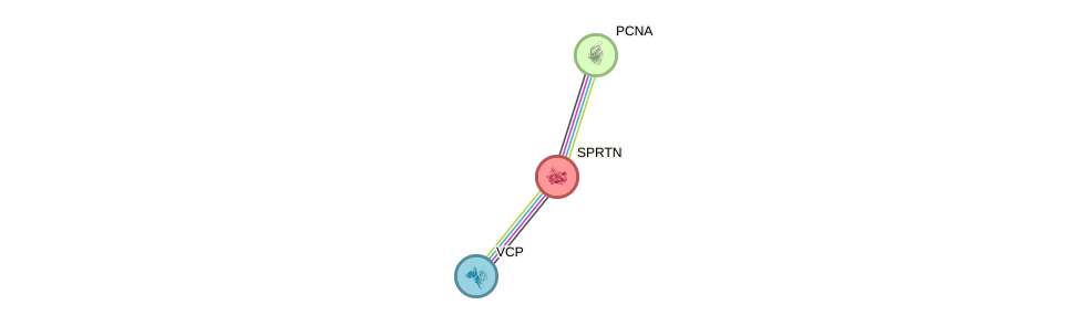 Protein-Protein network diagram for SPRTN