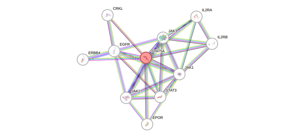 Protein-Protein network diagram for STAT5A