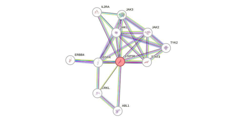 Protein-Protein network diagram for STAT5B