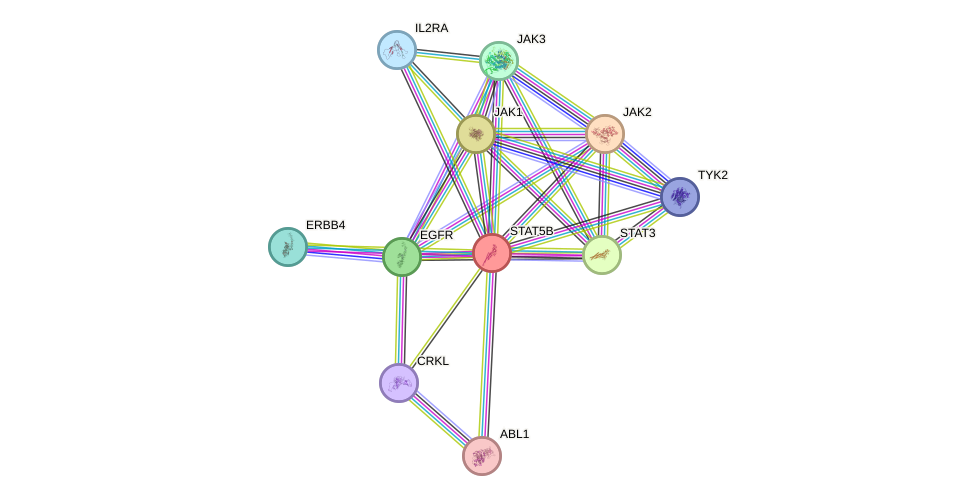 Protein-Protein network diagram for STAT5B