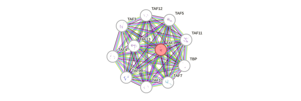 Protein-Protein network diagram for TAF1