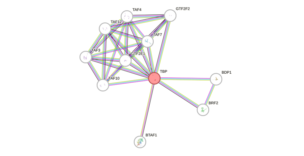 Protein-Protein network diagram for TBP