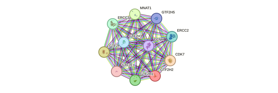 Protein-Protein network diagram for GTF2H2
