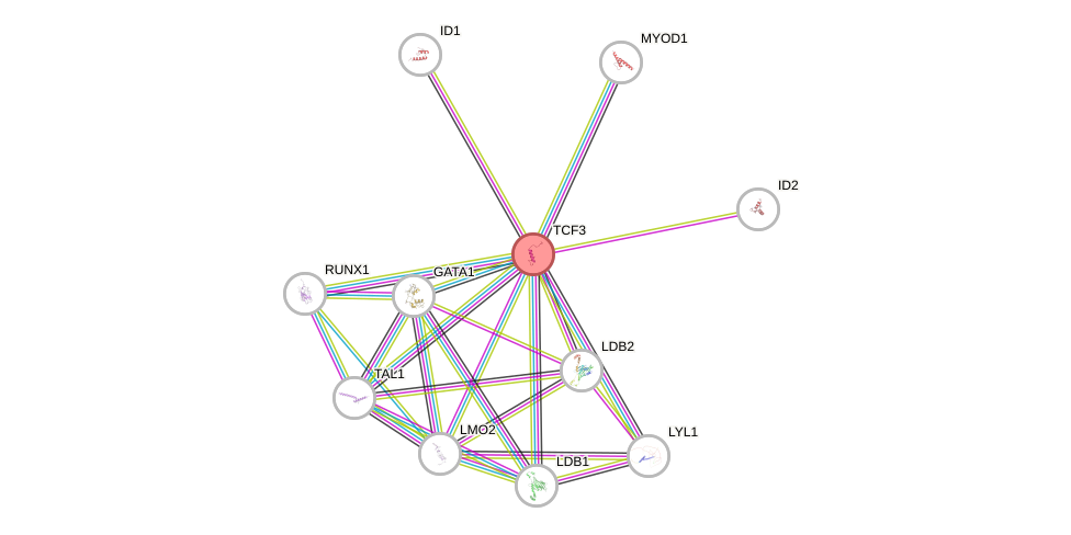 Protein-Protein network diagram for TCF3