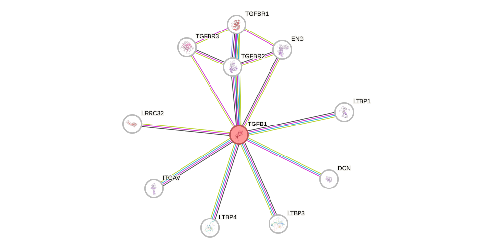 Protein-Protein network diagram for TGFB1