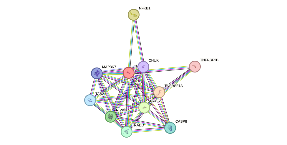 Protein-Protein network diagram for TNF