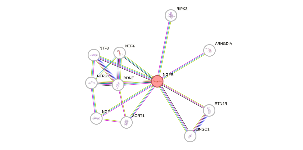 Protein-Protein network diagram for NGFR
