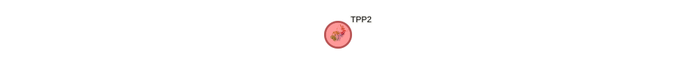 Protein-Protein network diagram for TPP2