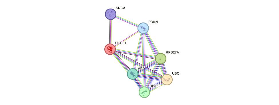 Protein-Protein network diagram for UCHL1