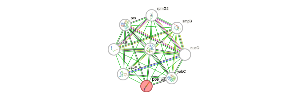 STRING of Mpn070