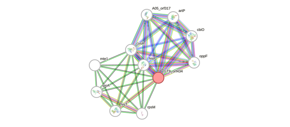 STRING of Mpn195