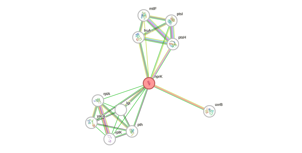 STRING of Mpn223