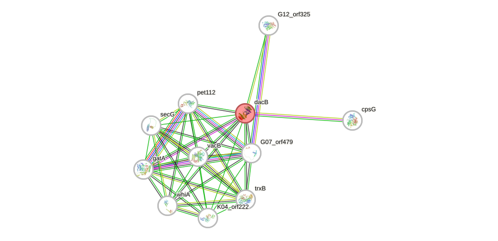 STRING of Mpn244