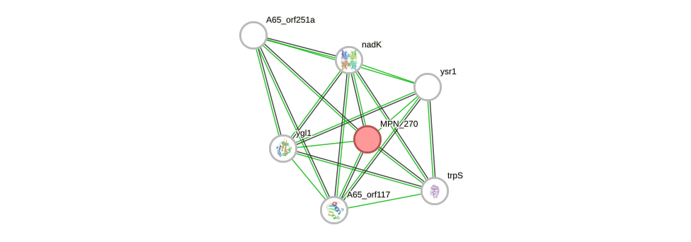 STRING of Mpn270