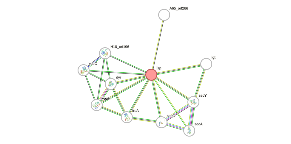 STRING of Mpn293