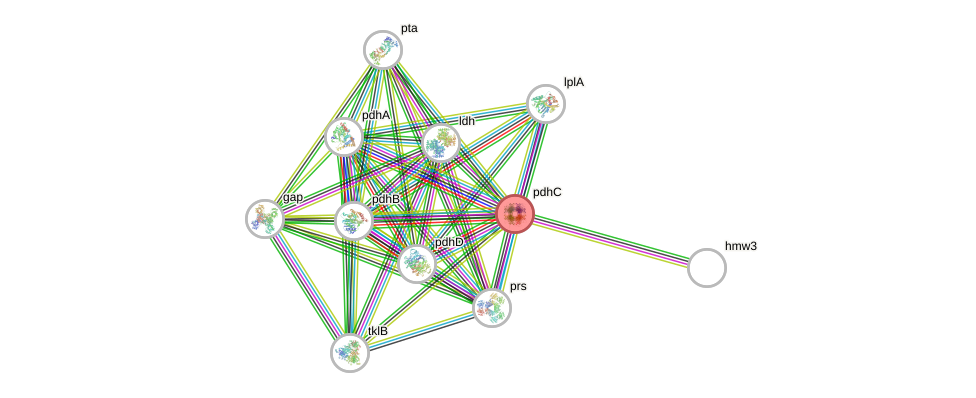 STRING of Mpn391