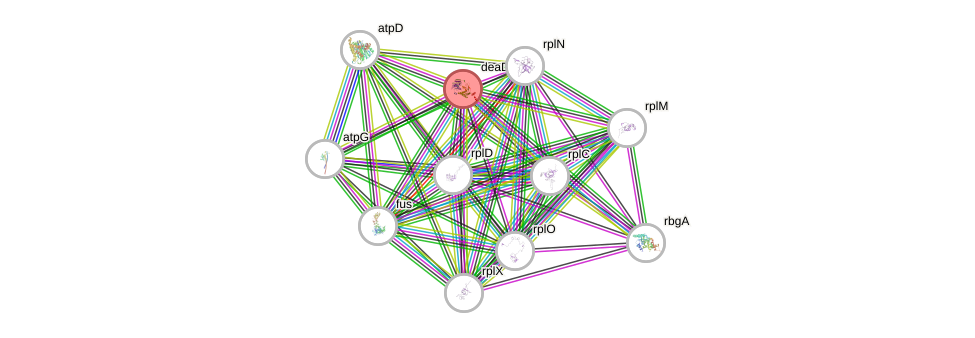 STRING of Mpn443