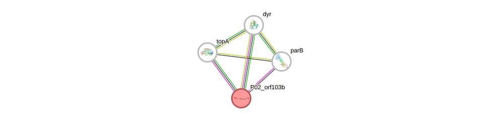 STRING of Mpn484