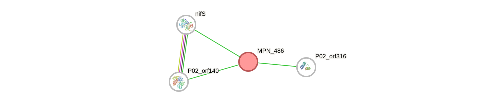 STRING of Mpn486