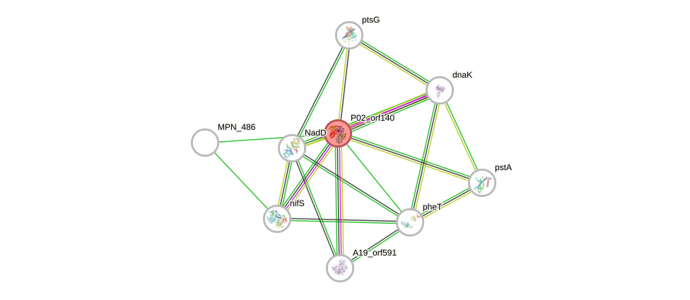 STRING of Mpn488