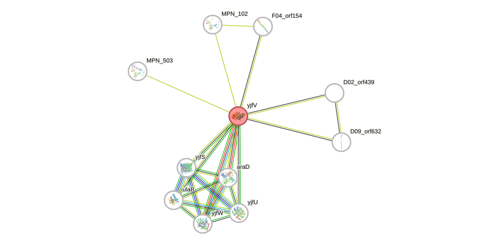 STRING of Mpn493