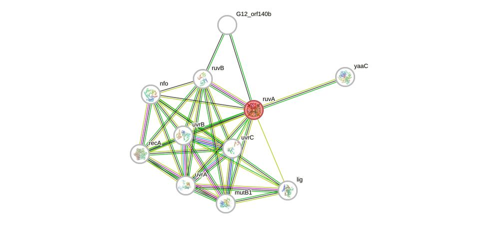 STRING of Mpn535