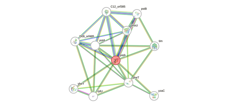 STRING of Mpn610