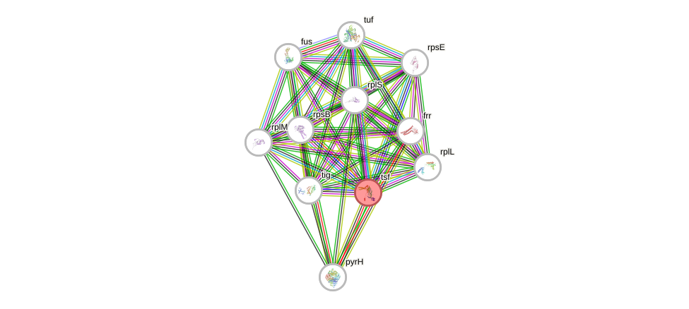 STRING of Mpn631