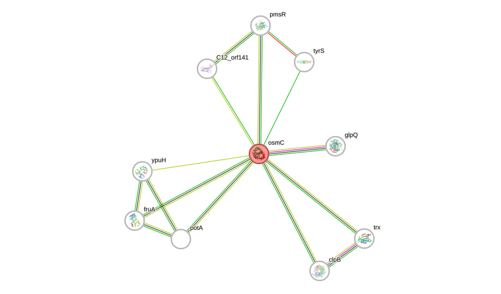 STRING of Mpn668