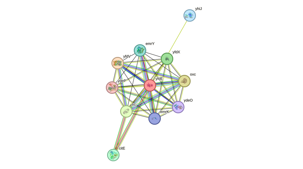 STRING protein interaction network