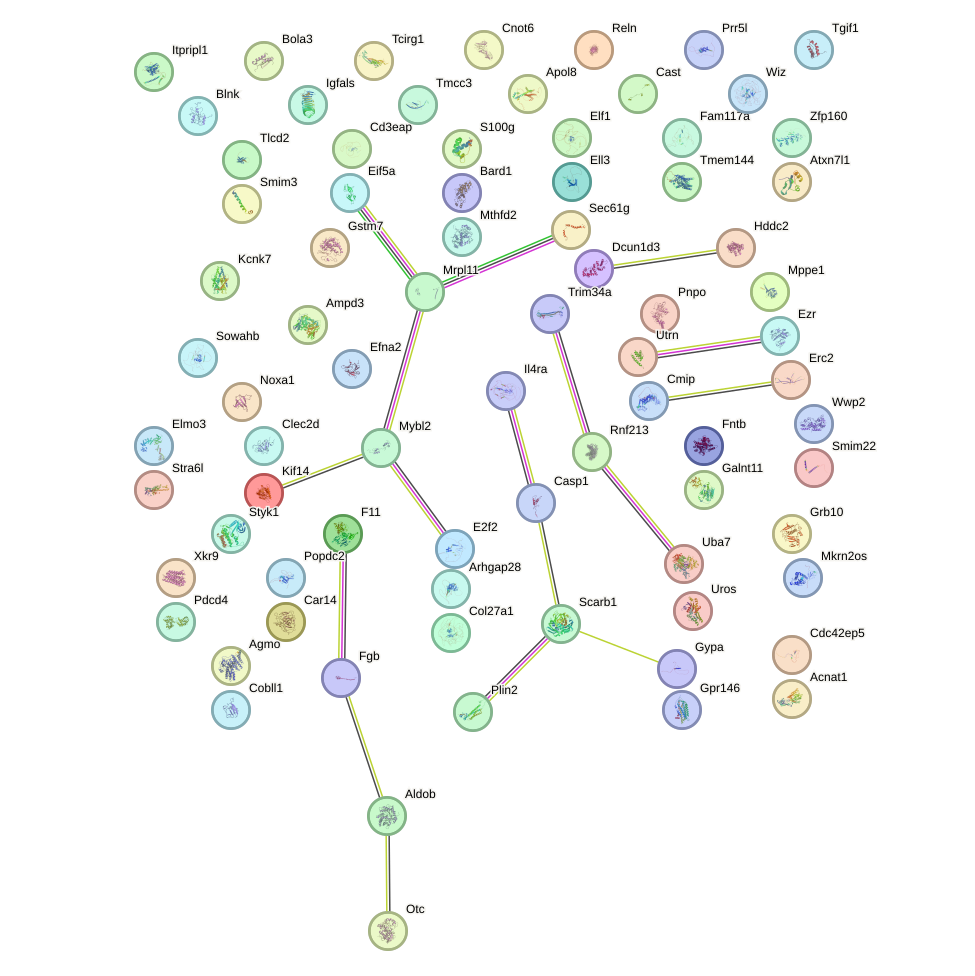 StringDB image