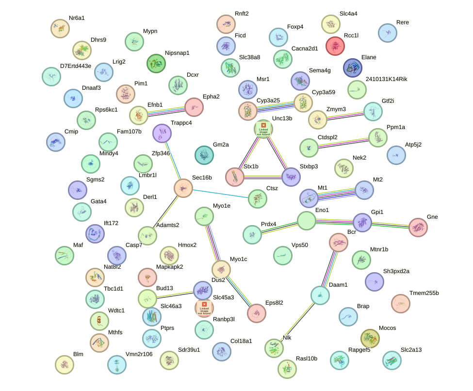 StringDB image