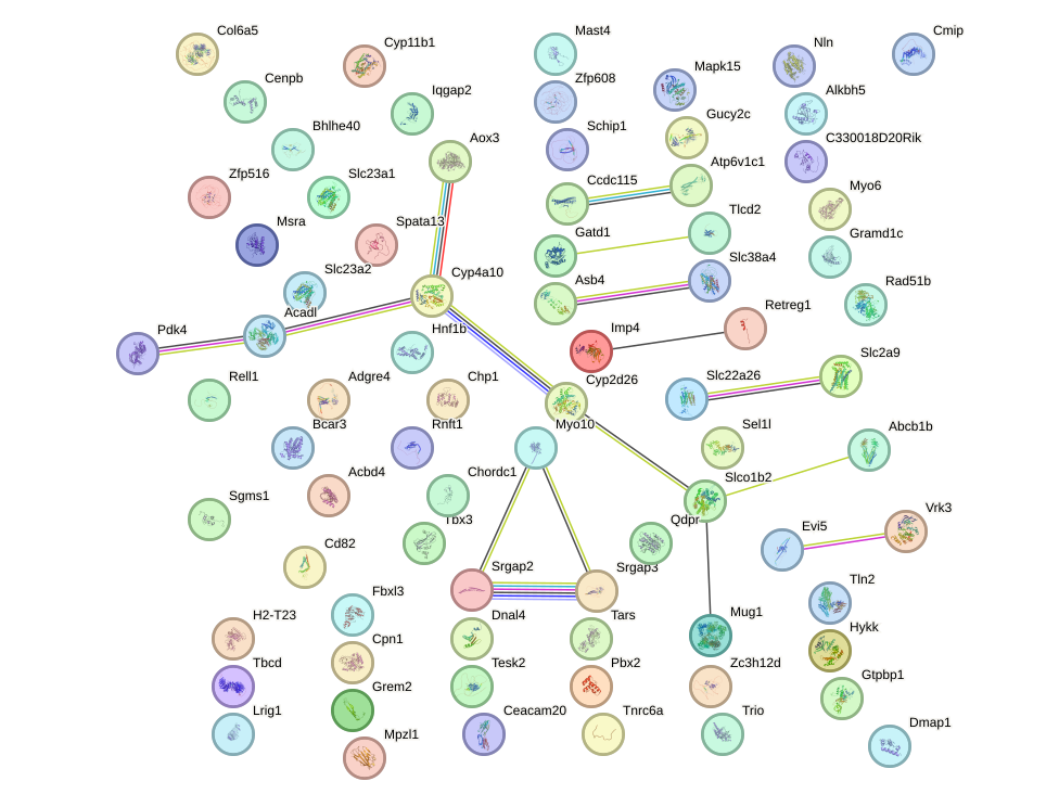 StringDB image