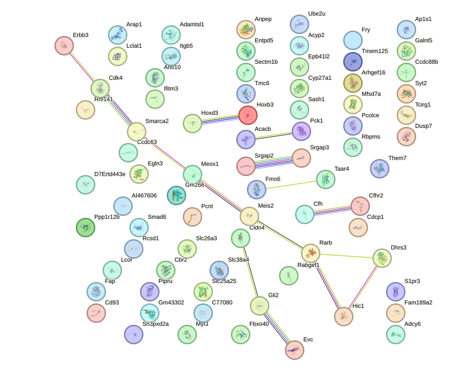 StringDB image