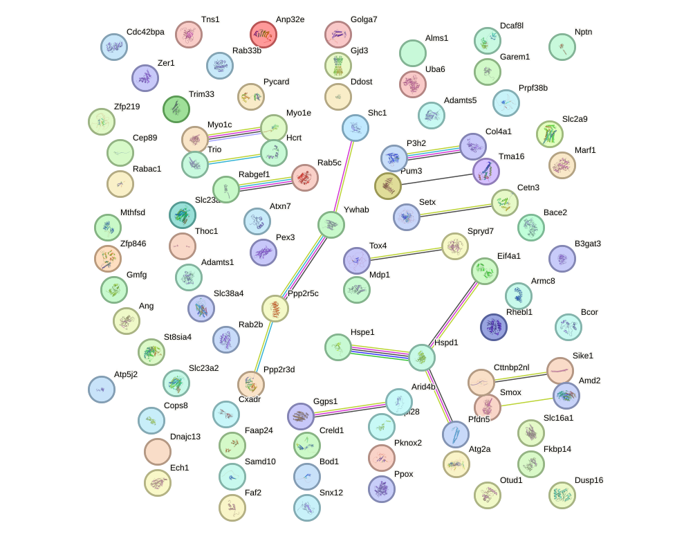 StringDB image