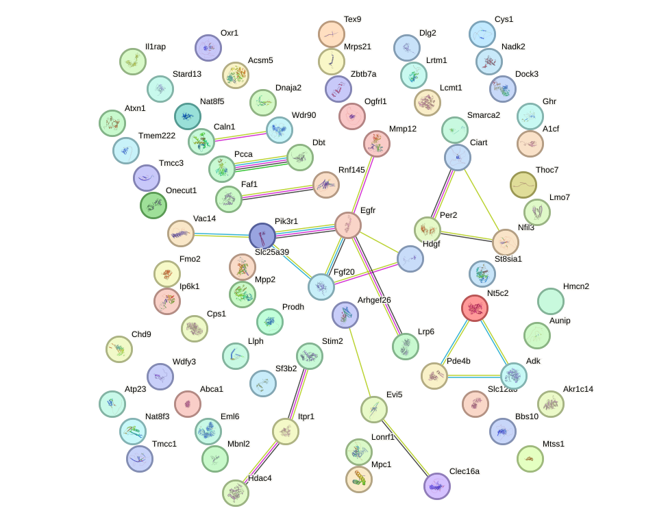 StringDB image