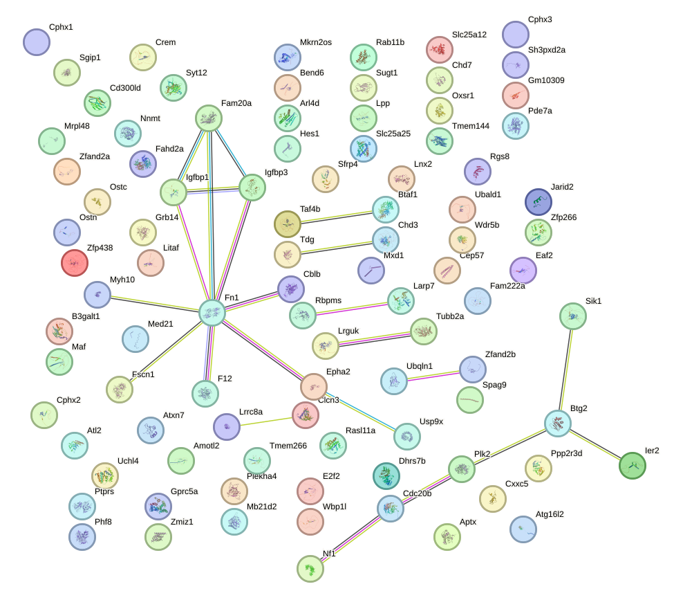 StringDB image