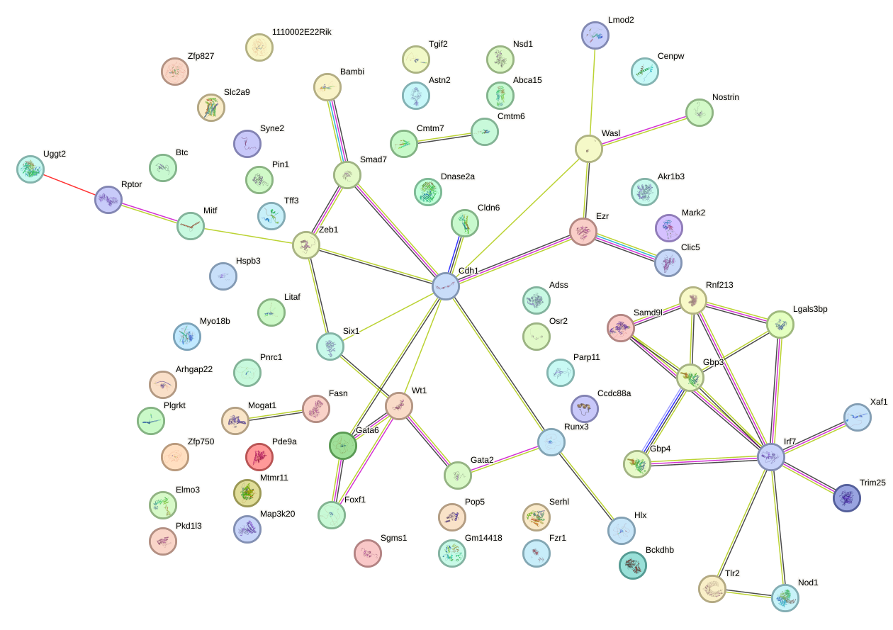 StringDB image