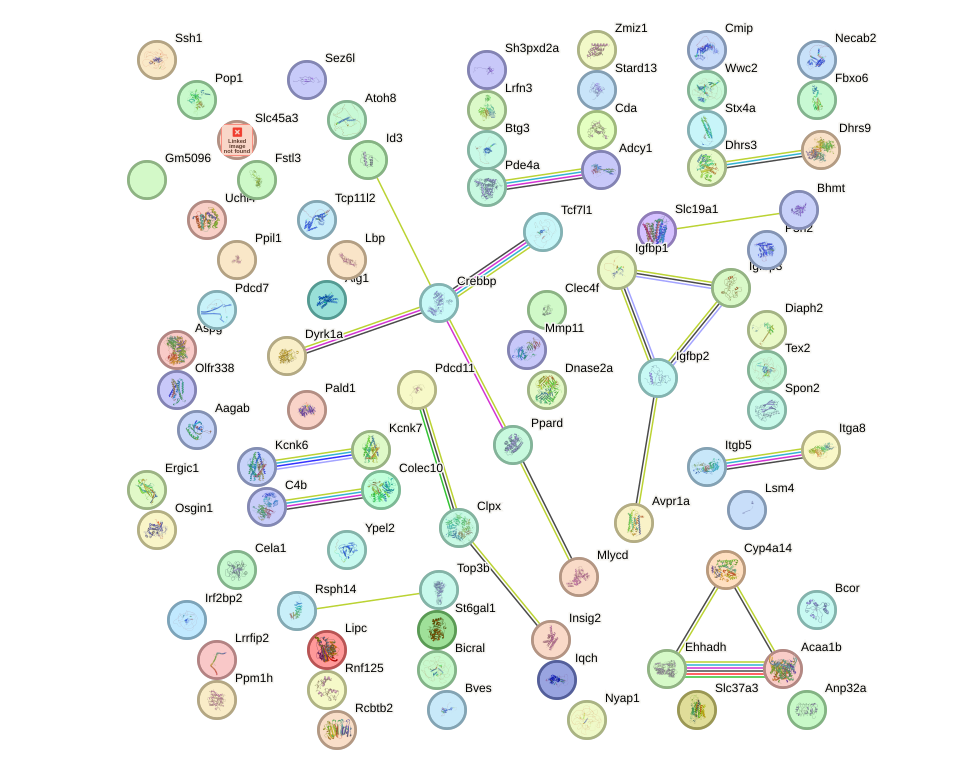 StringDB image