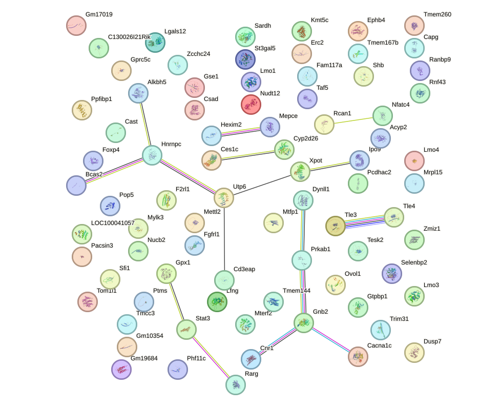 StringDB image