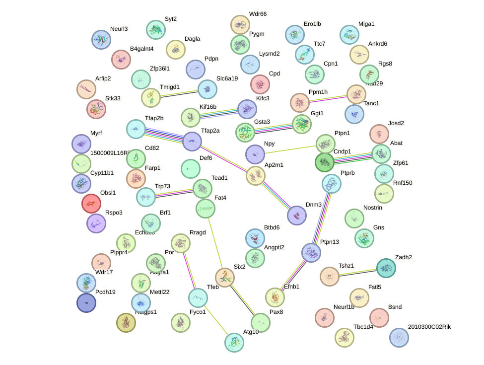 StringDB image