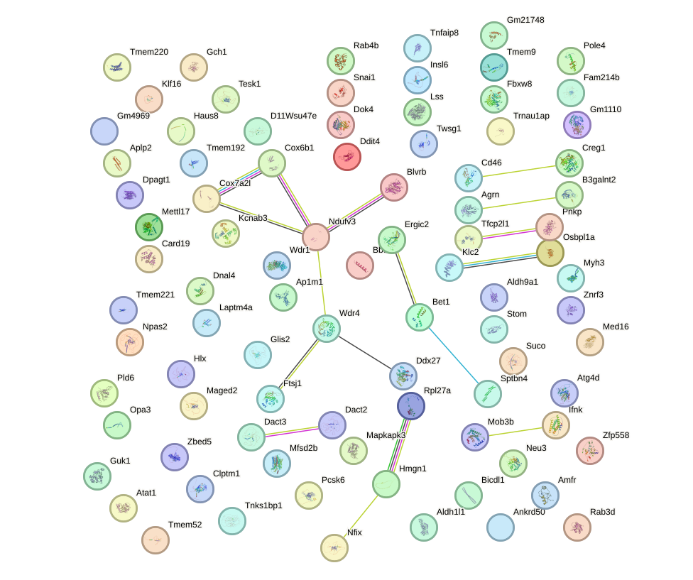 StringDB image