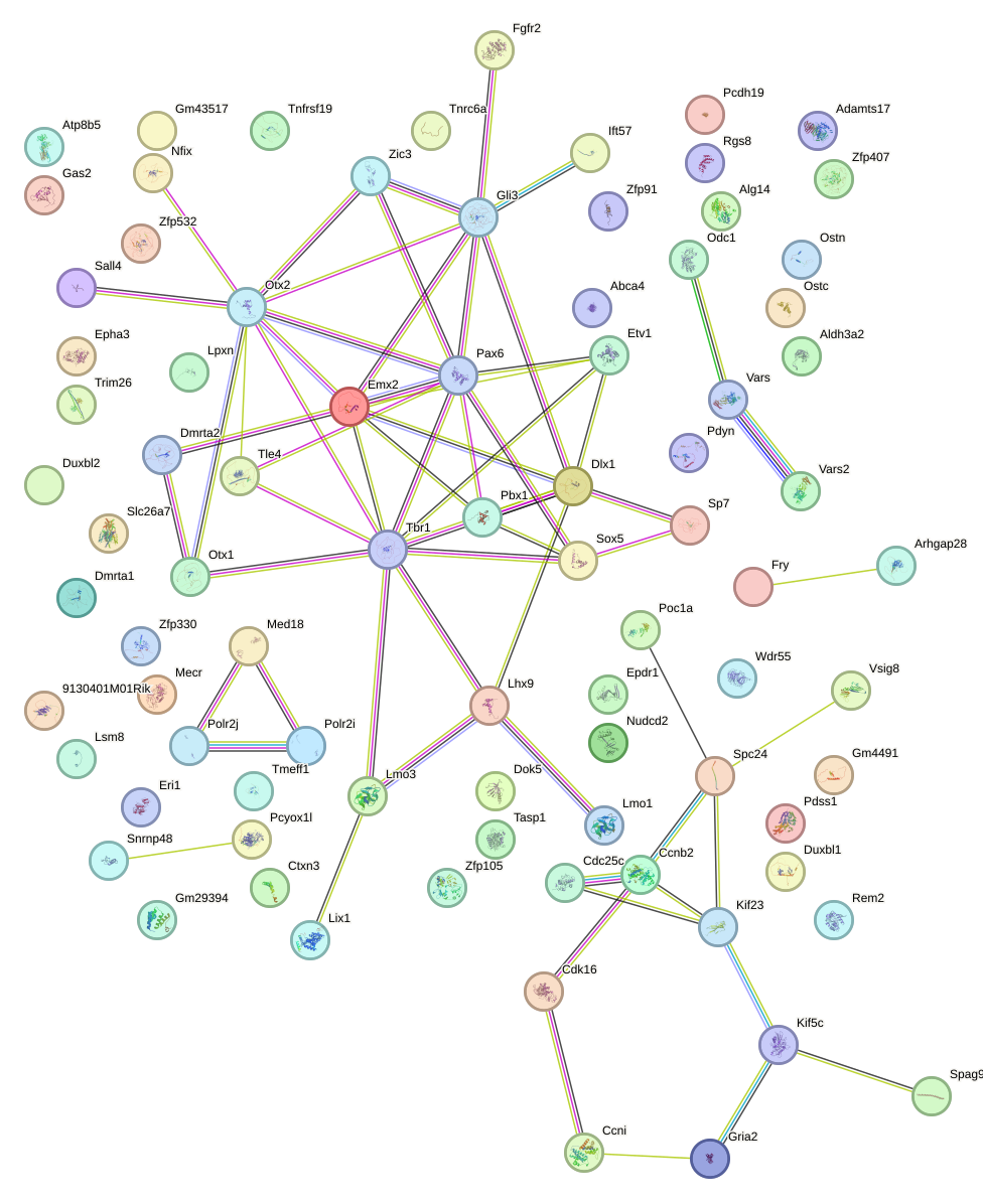 StringDB image