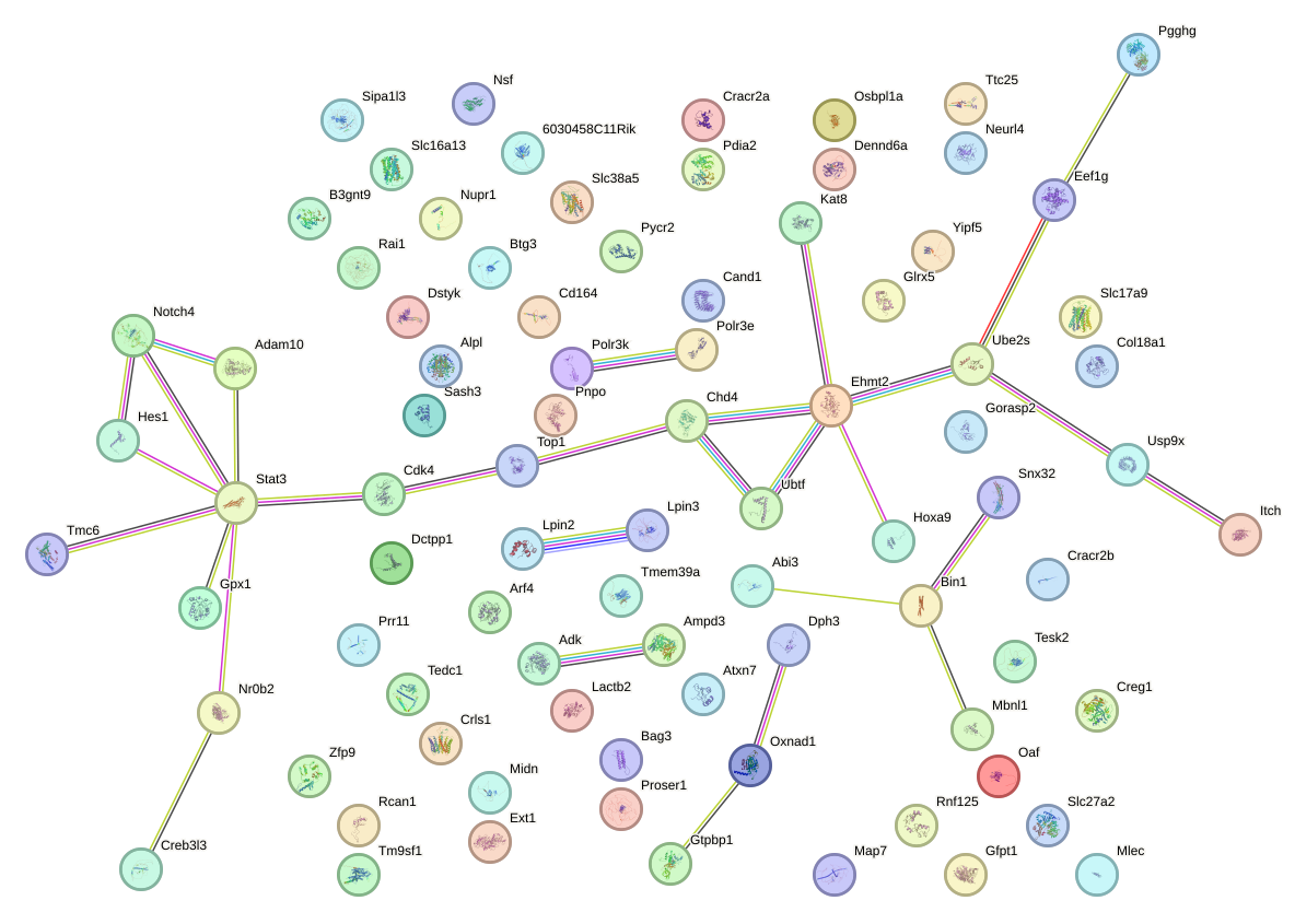 StringDB image