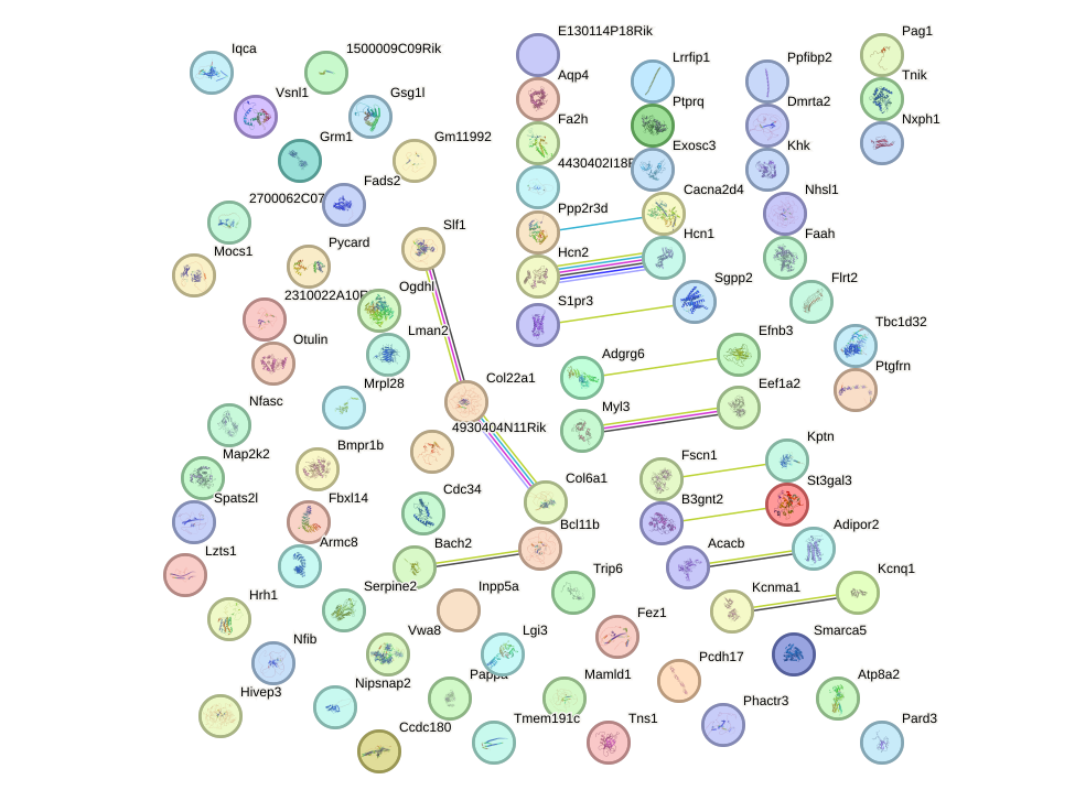 StringDB image