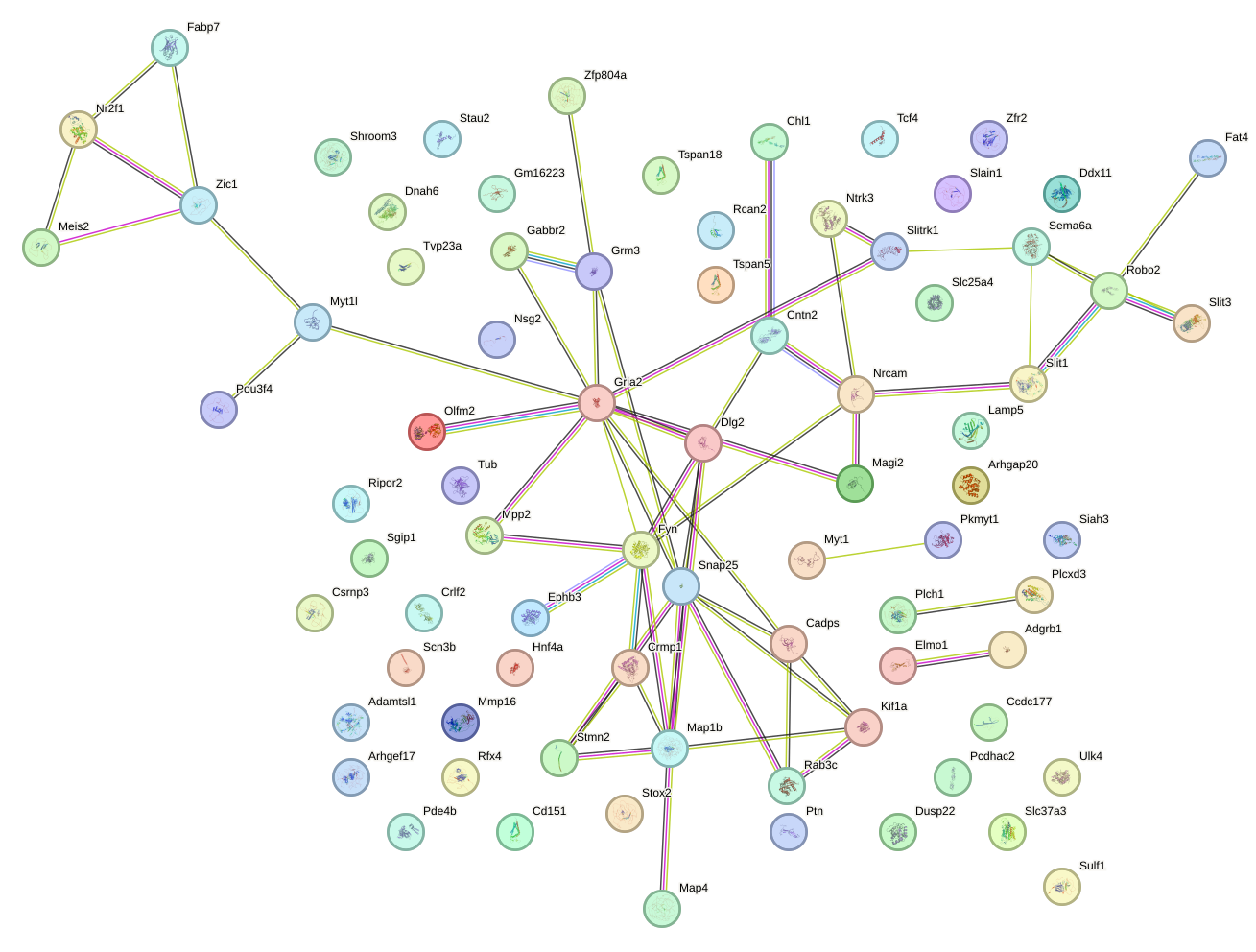 StringDB image