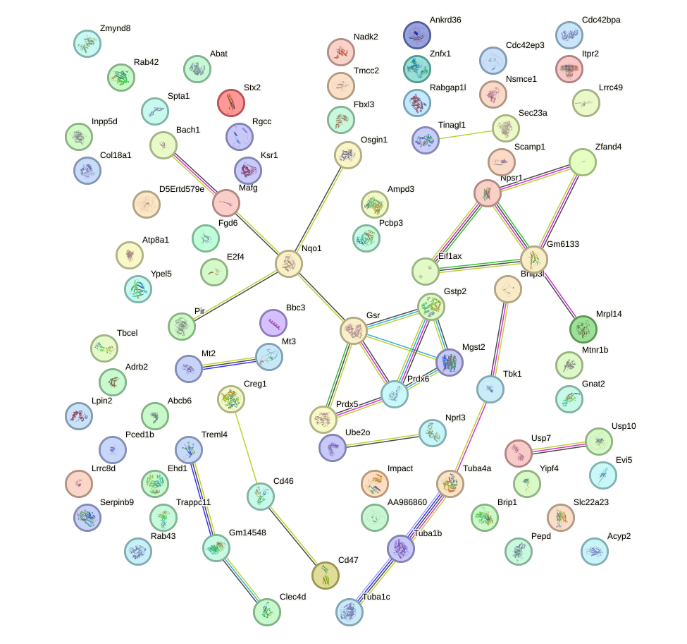 StringDB image