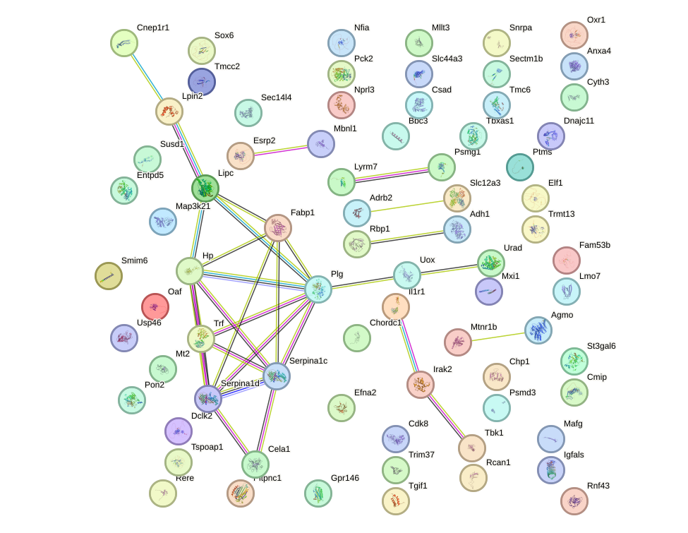 StringDB image