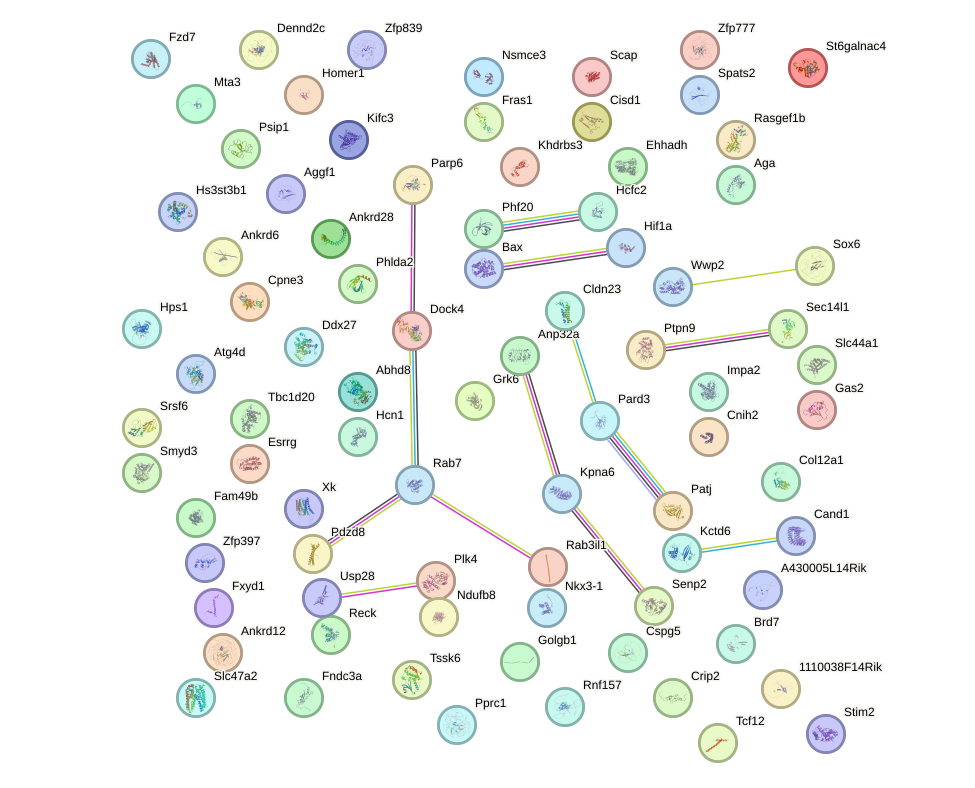 StringDB image