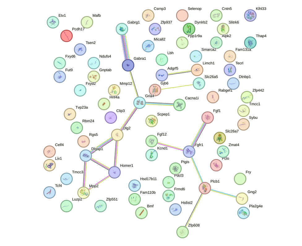 StringDB image